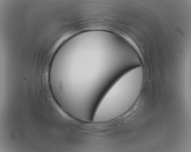 X0000114151197200910081106