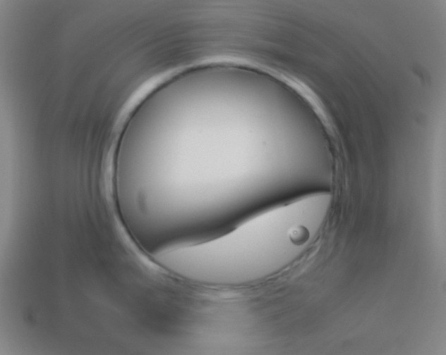 X0000114151199200910081106