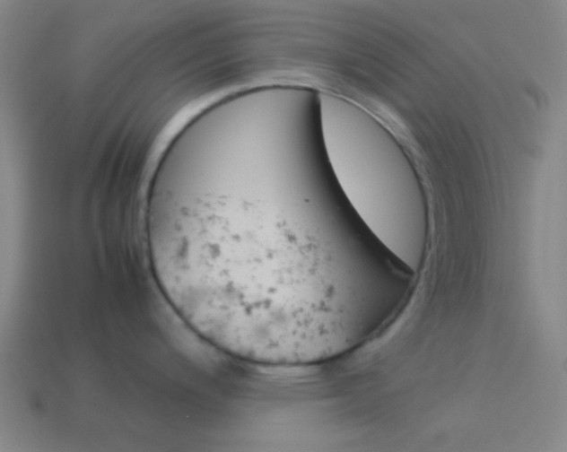 X0000114151200200910081106