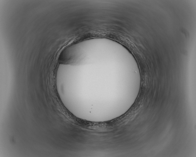 X0000114151201200910081105