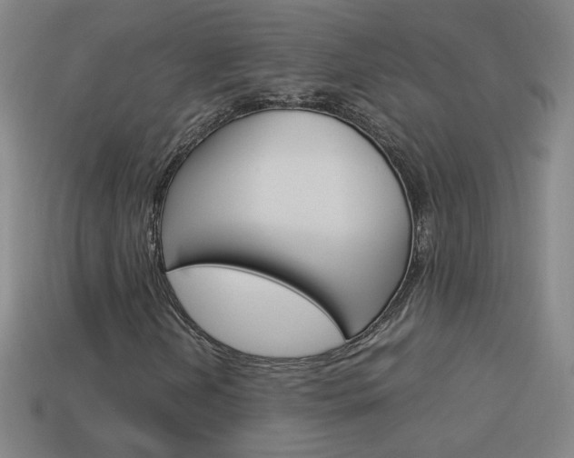 X0000114151202200910081105