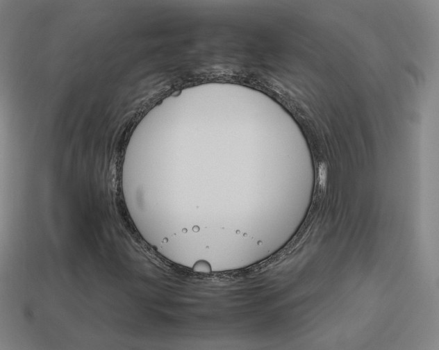 X0000114151203200910081105