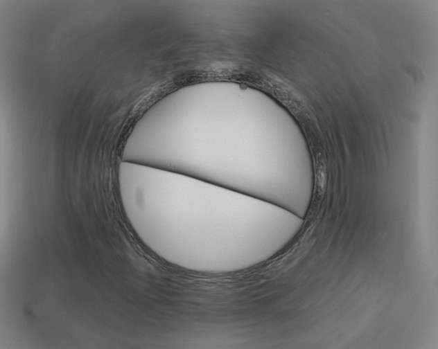 X0000114151204200910081105