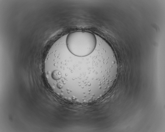 X0000114151205200910081105