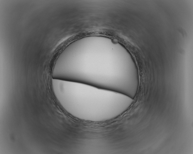 X0000114151206200910081105