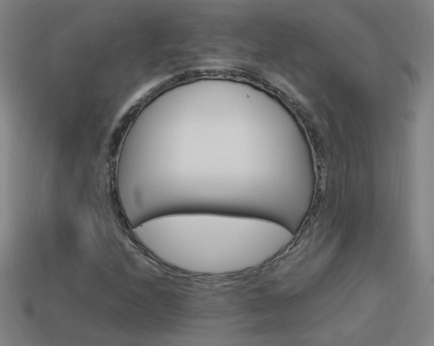 X0000114151208200910081105