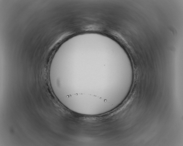 X0000114151211200910081105