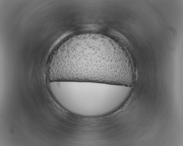 X0000114151212200910081105