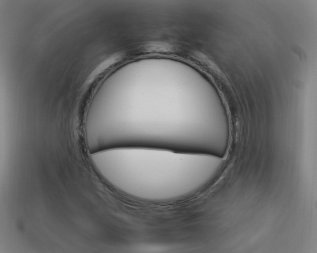 X0000114151213200910081105