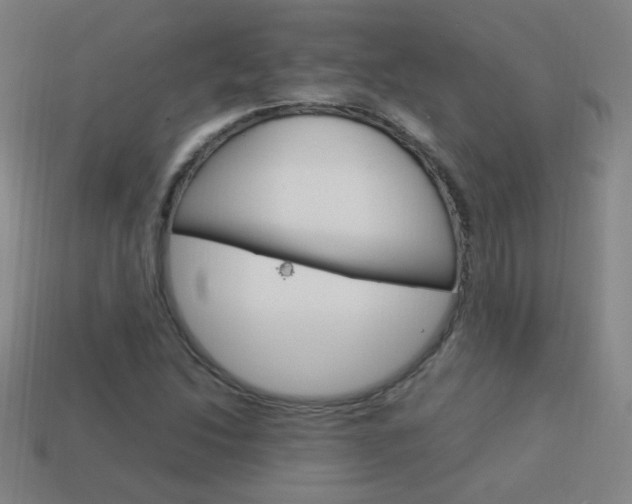 X0000114151214200910081106