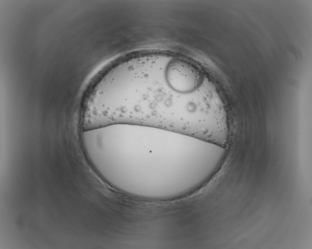 X0000114151216200910081106