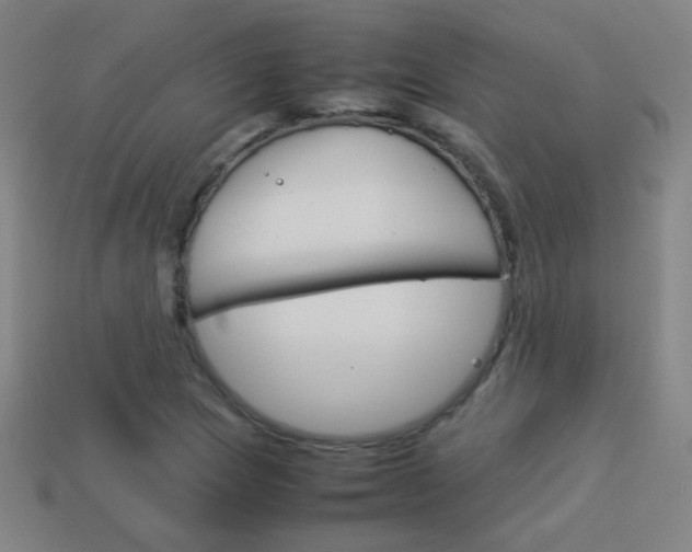 X0000114151217200910081106