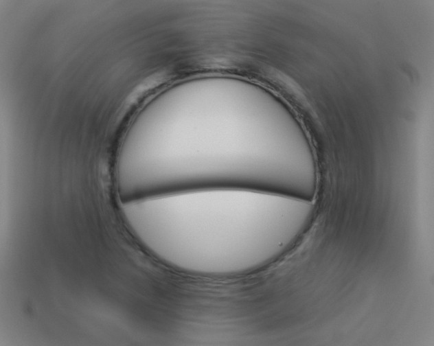 X0000114151218200910081106