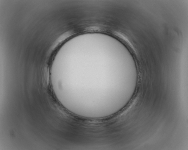 X0000114151219200910081106
