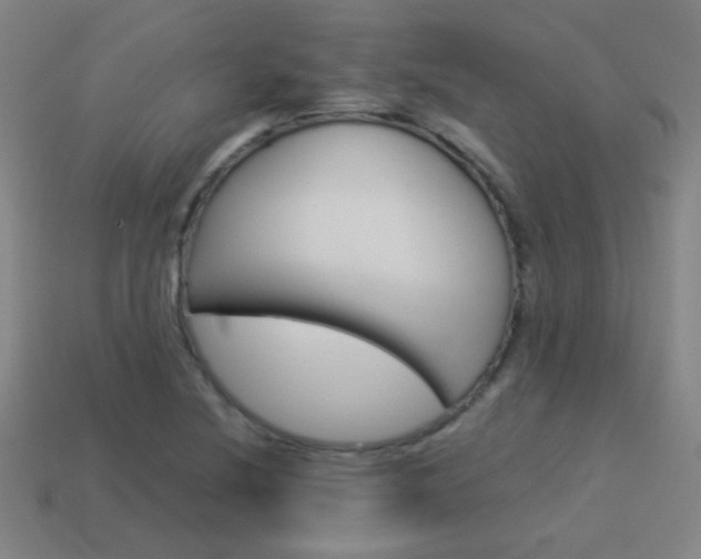 X0000114151220200910081106