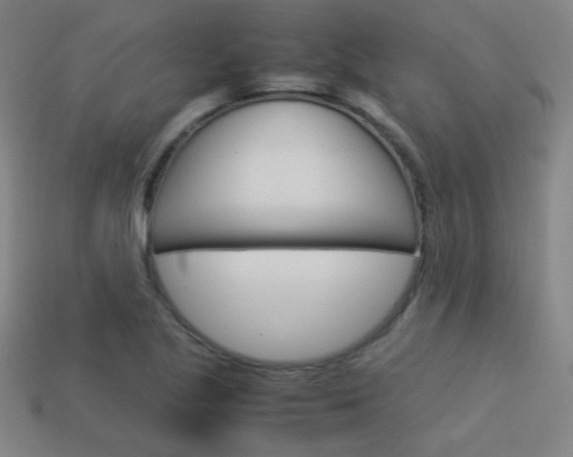X0000114151221200910081106