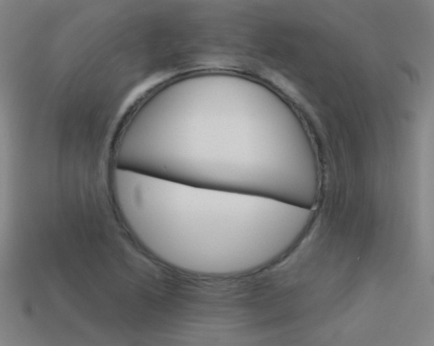 X0000114151222200910081106