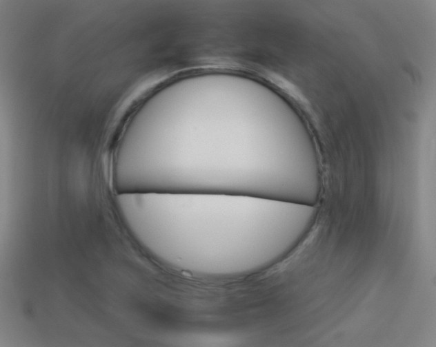 X0000114151223200910081106