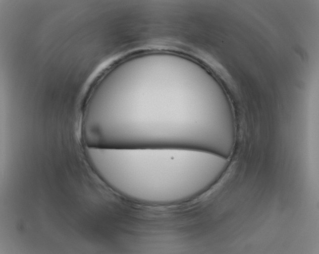 X0000114151224200910081106