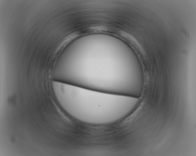 X0000114151225200910081106