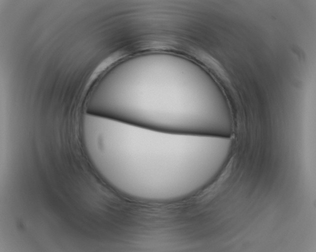 X0000114151226200910081106