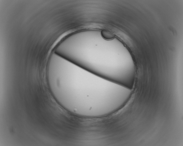 X0000114151228200910081106