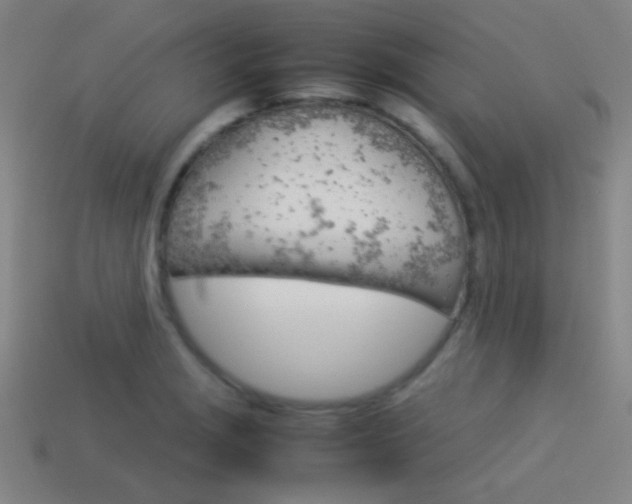 X0000114151229200910081106