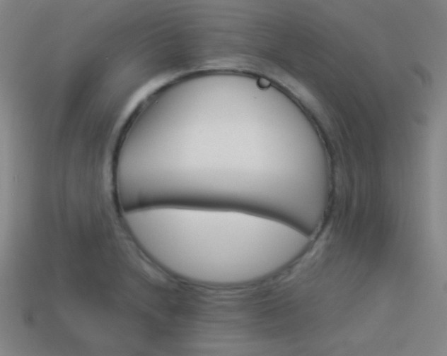 X0000114151230200910081106