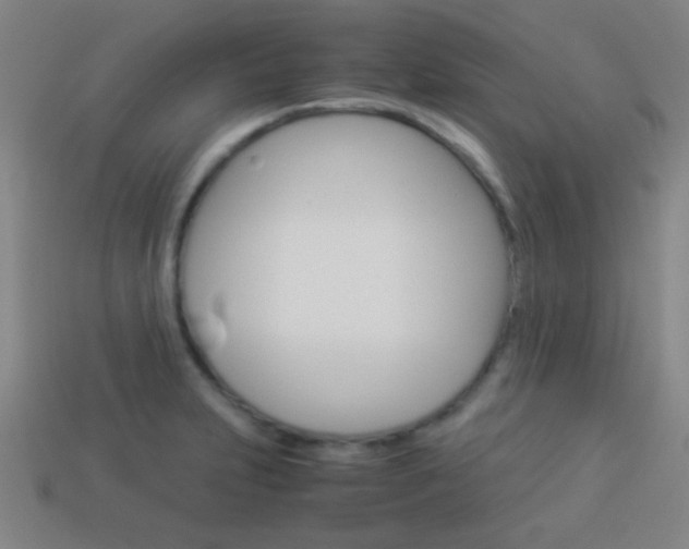 X0000114151231200910081106