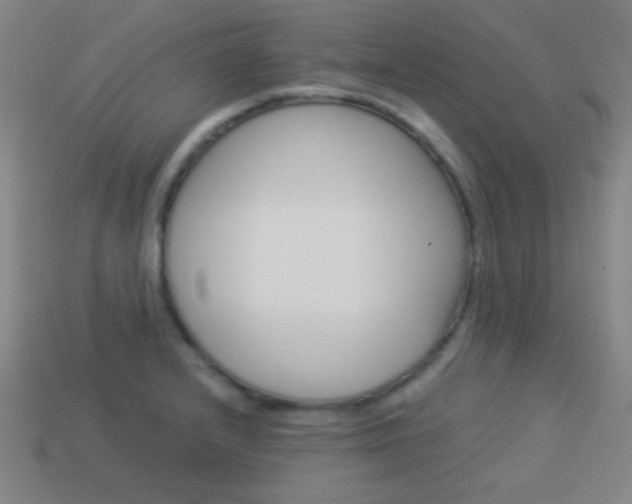 X0000114151232200910081106