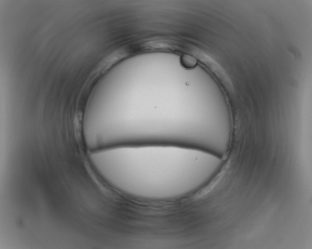 X0000114151233200910081106