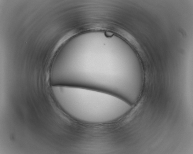 X0000114151234200910081106