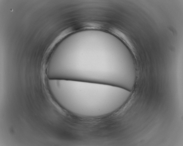 X0000114151235200910081106