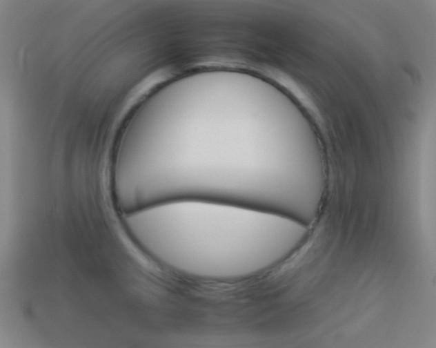 X0000114151237200910081106
