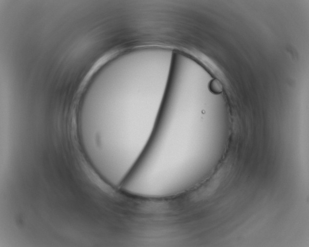 X0000114151238200910081106