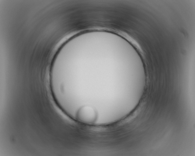 X0000114151239200910081106