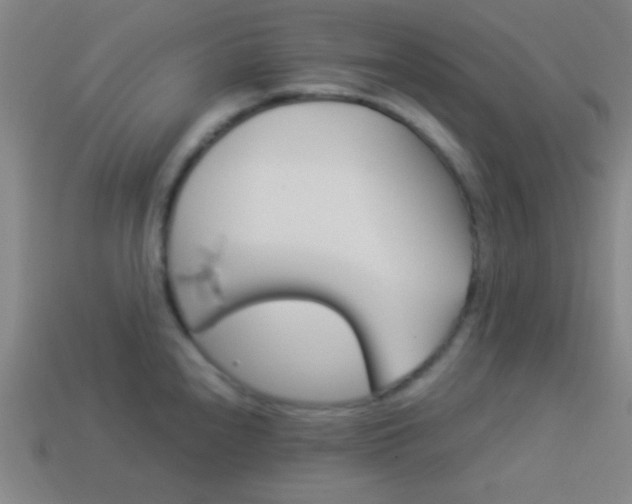 X0000114151240200910081106