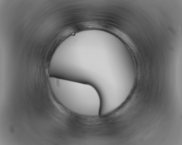 X0000114151241200910081106