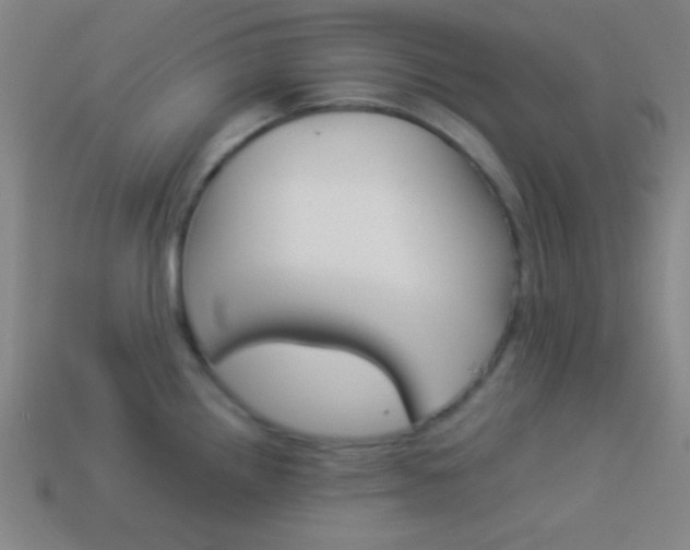 X0000114151242200910081106