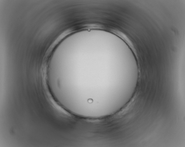 X0000114151243200910081106