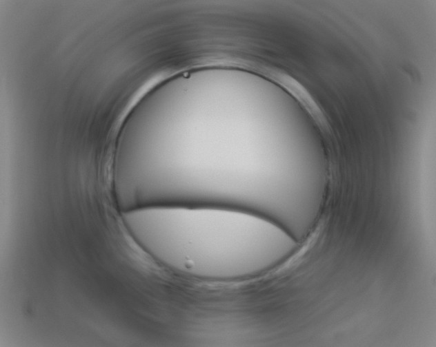 X0000114151244200910081106
