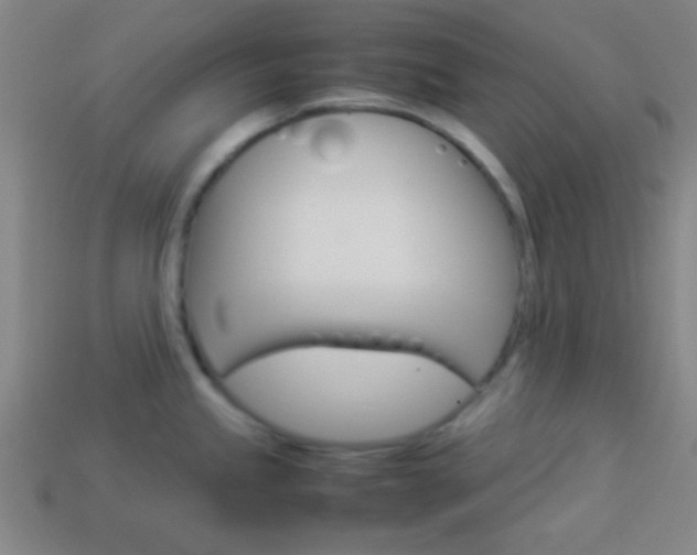 X0000114151245200910081106
