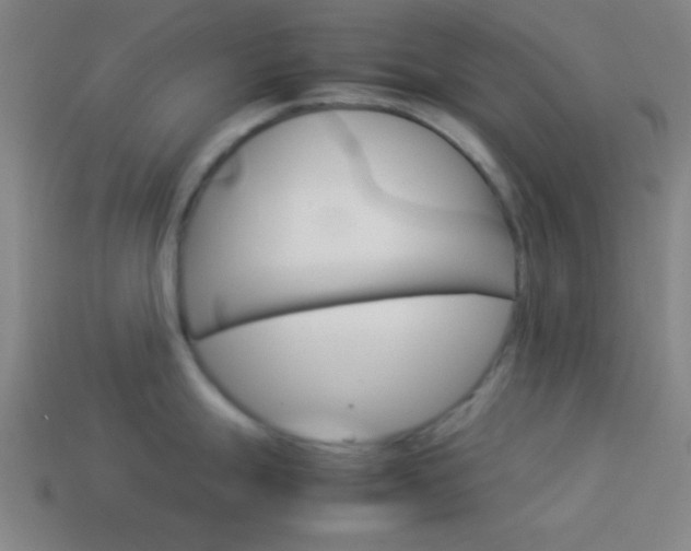 X0000114151247200910081106