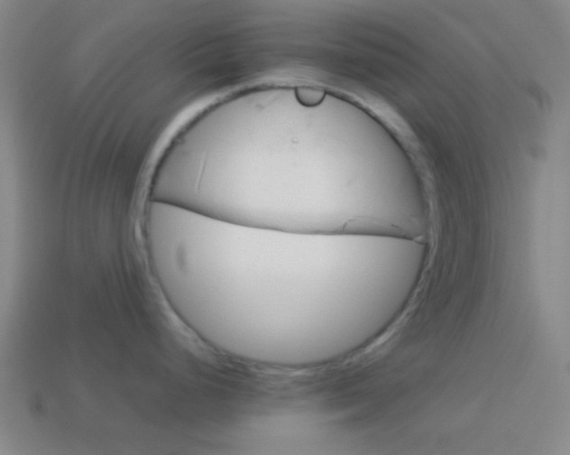 X0000114151248200910081106