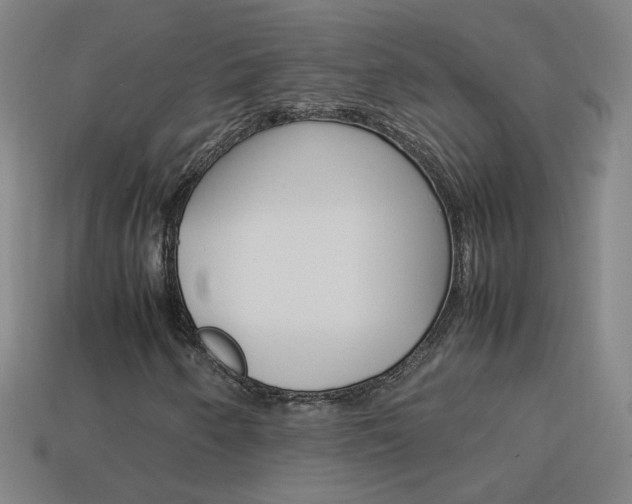 X0000114151250200910081105