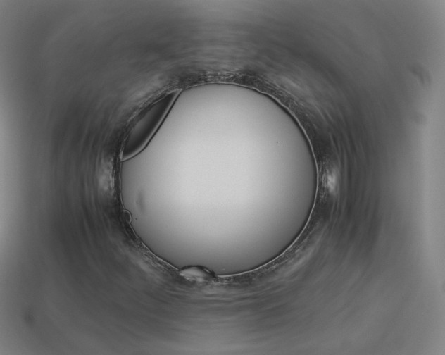 X0000114151252200910081105