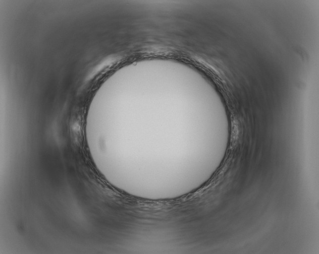 X0000114151254200910081105