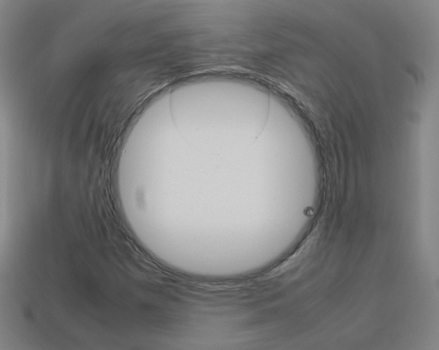 X0000114151257200910081105