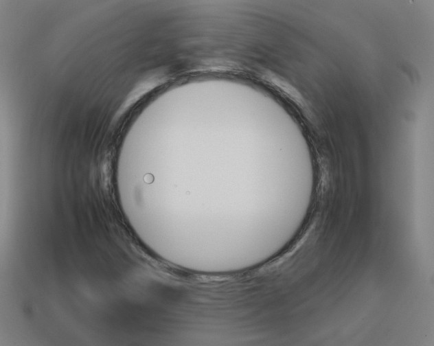 X0000114151258200910081105