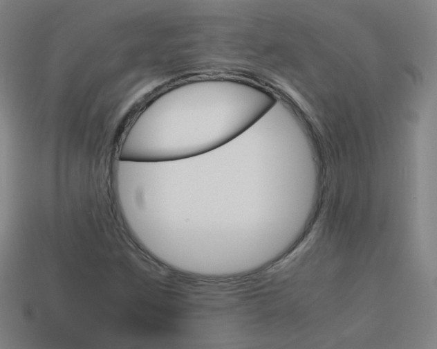 X0000114151259200910081105